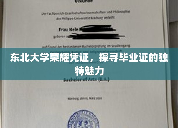 东北大学毕业证背后的荣耀印记，揭秘非凡凭证的独特魅力