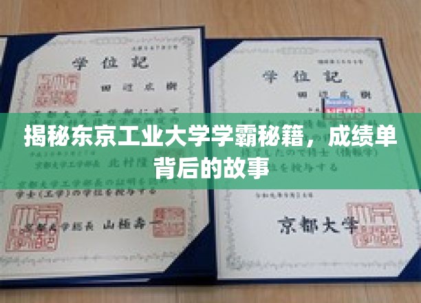 解码东工学霸，成绩单背后的惊人秘笈大公开