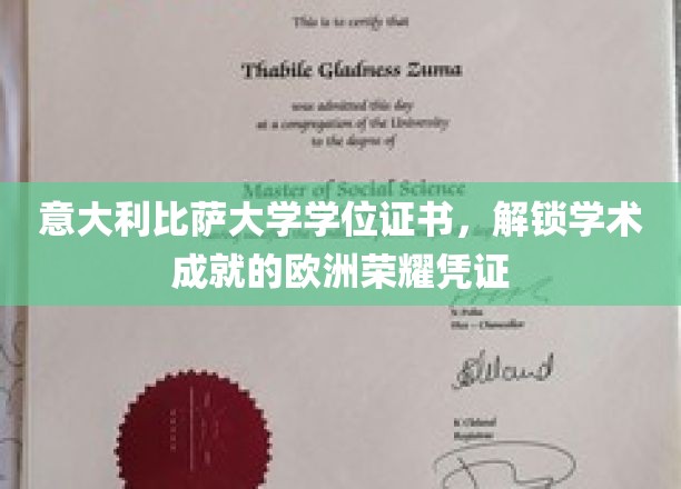 欧洲学术殿堂的荣耀象征，揭秘意大利比萨大学学位证书的非凡价值
