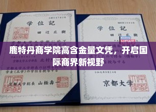 鹿特丹商学院高含金量文凭，开启国际商界新视野