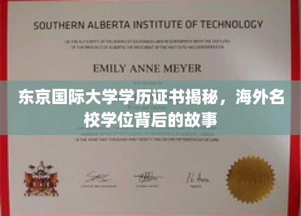 东京国际大学学历证书揭秘，探寻海外名校学位背后的故事