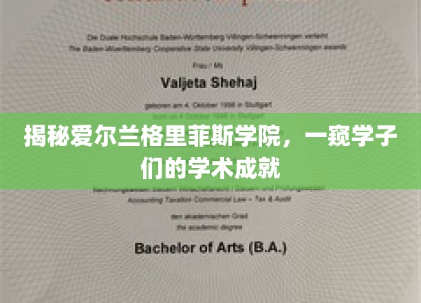 揭秘爱尔兰格里菲斯学院，一窥学子们的学术成就