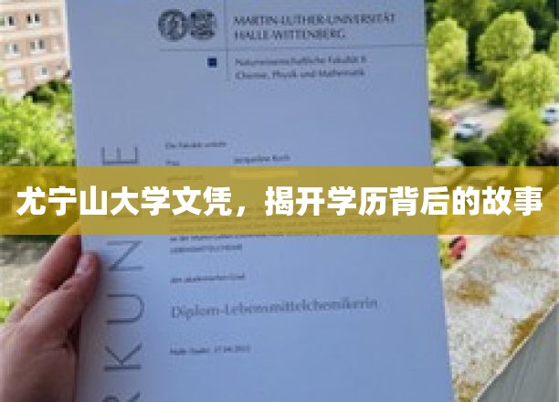 尤宁山大学文凭，揭秘背后不为人知的求学传奇