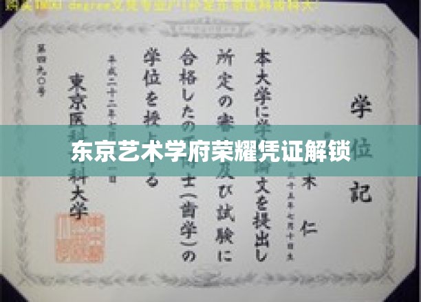 东京艺术殿堂通行证，揭秘顶尖学府的荣耀之谜