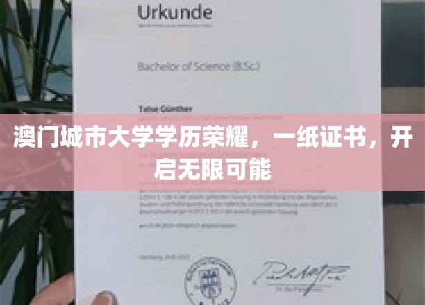 澳门城市大学学历加持，成就非凡人生新篇章