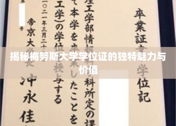 深度解析梅努斯大学学位证的独特魅力与价值