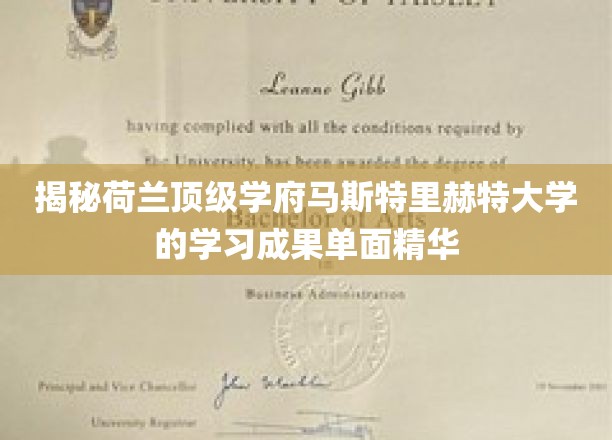 揭秘荷兰顶级学府马斯特里赫特大学的学习成果单面精华