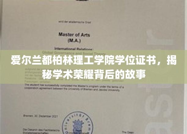 探索爱尔兰都柏林理工学院学位证书背后的辉煌历程
