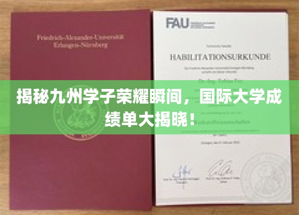揭秘九州学子荣耀瞬间，国际大学成绩单大揭晓！