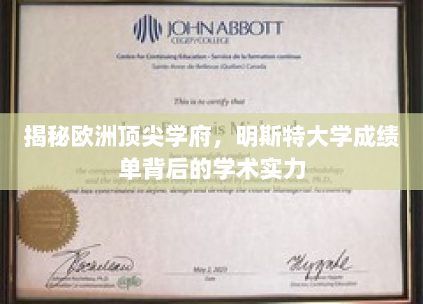 欧洲精英摇篮揭秘，明斯特大学学术实力深度剖析