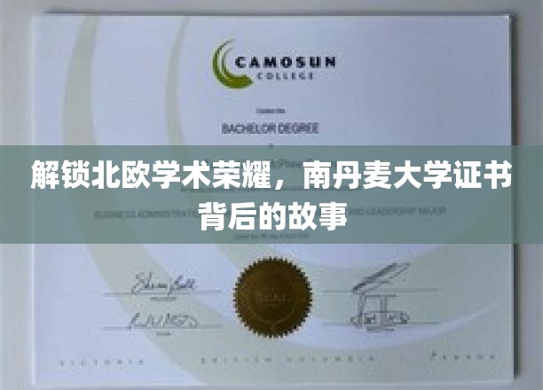 探寻南丹麦大学证书的北欧学术传奇
