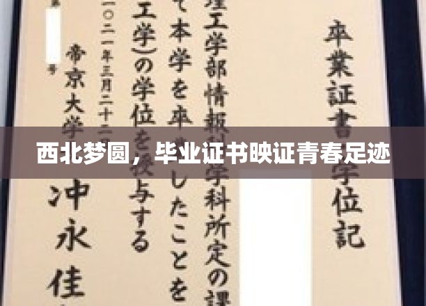 青春足迹西北篇，毕业证书见证梦想绽放之旅
