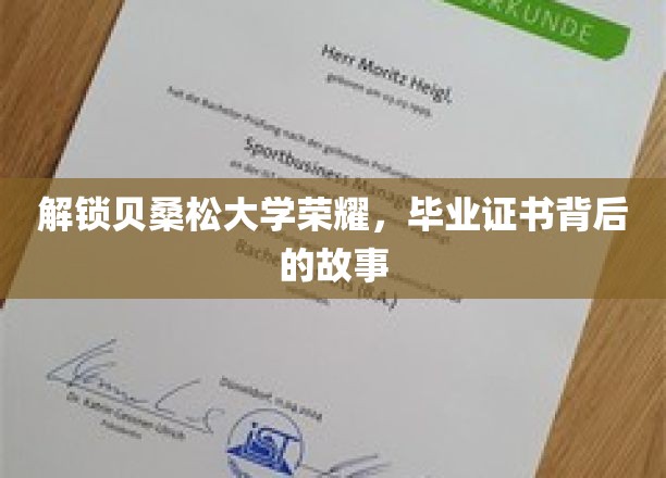 解锁贝桑松大学荣耀，毕业证书背后的故事