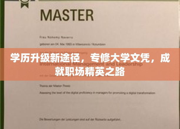 学历提升新途径，专修大学文凭，铺就职场精英之路