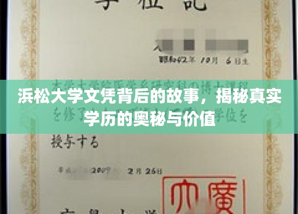 探寻浜松大学文凭，揭秘学历背后的真实力量与价值