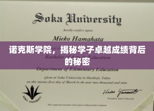 诺克斯学院学霸传奇，揭开卓越成绩的神秘面纱