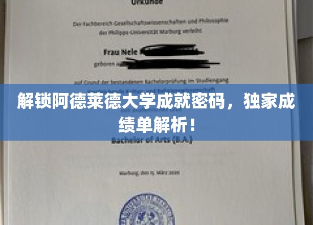 阿德莱德大学成绩秘籍大公开，揭秘独家成绩单解读攻略！