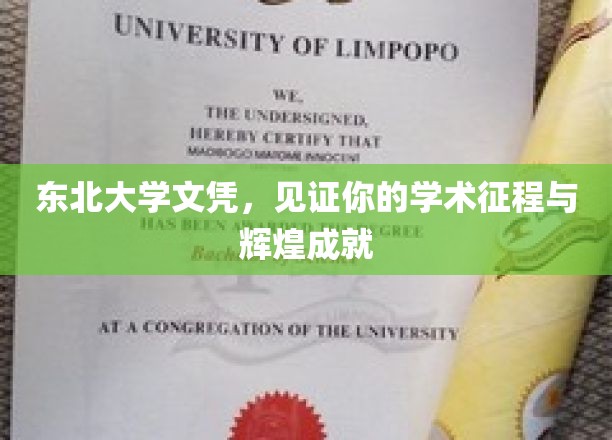 东北大学文凭，见证你的学术征程与辉煌成就