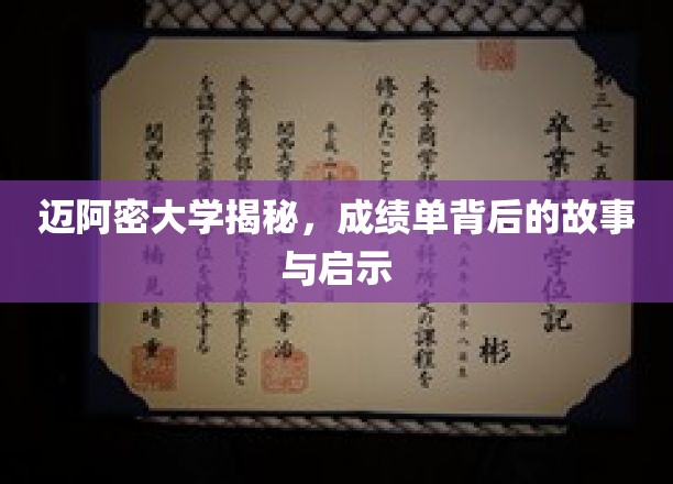 迈阿密大学揭秘，成绩单背后的故事与启示