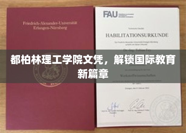 都柏林理工学院文凭，引领全球教育新里程