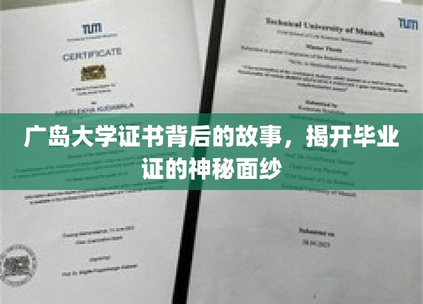 广岛大学证书揭秘，探寻毕业证的背后传奇
