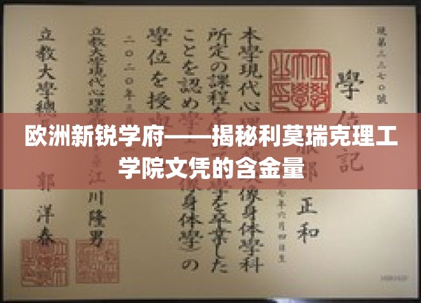 解码利莫瑞克理工学院，欧洲新贵教育机构的实力认证