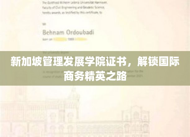 新加坡管理发展学院证书，助力成就全球商务领袖风采