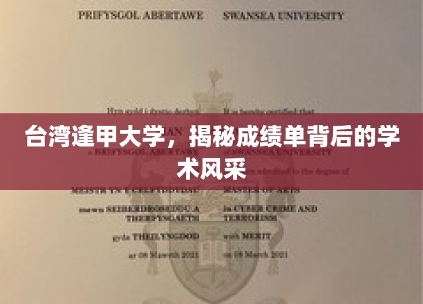 解码逢甲，台湾顶尖学府的学术魅力透视