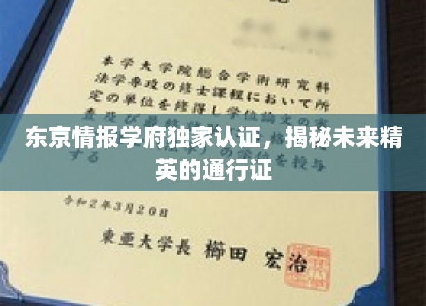 东京情报学府权威认证，解锁未来精英的智慧钥匙
