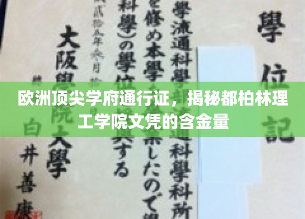 都柏林理工学院，欧洲名校的通行证，解读其文凭的全球价值