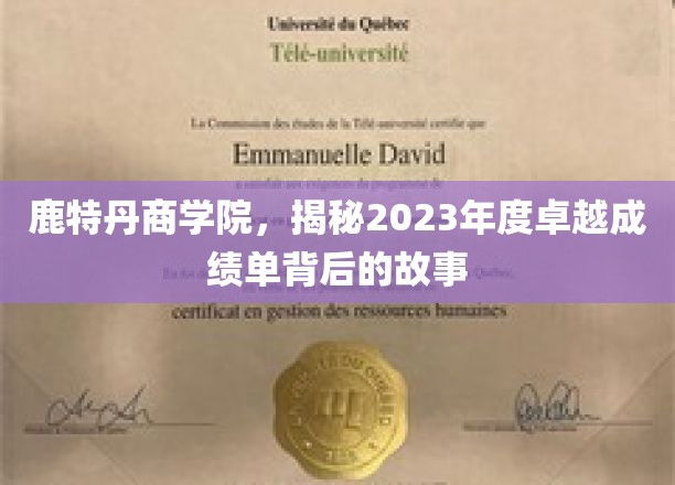鹿特丹商学院，揭秘2023年度非凡成就背后的精彩篇章