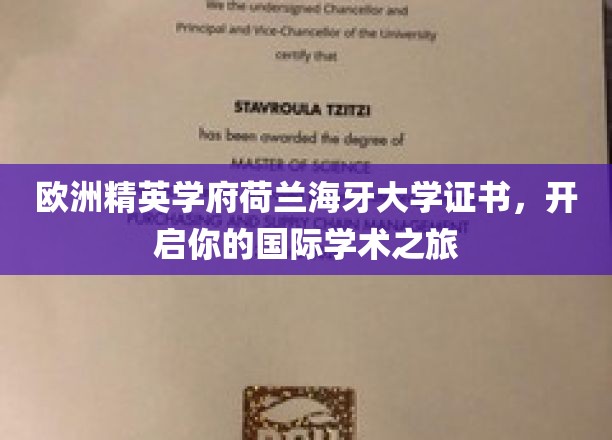跨越荷兰海牙大学，开启全球学术探索之旅
