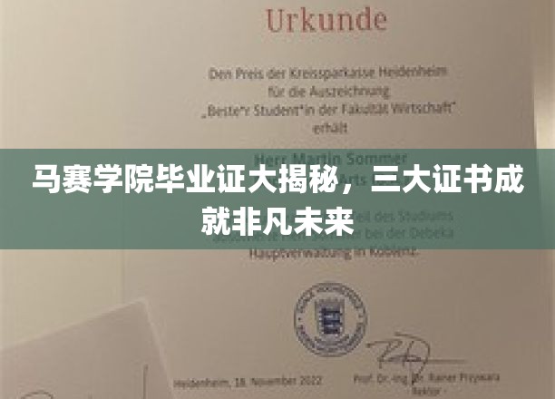 马赛学院证书背后的三大秘密，开启非凡职业之路