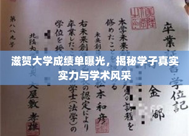 滋贺大学成绩单曝光,揭秘学子真实实力与学术风采