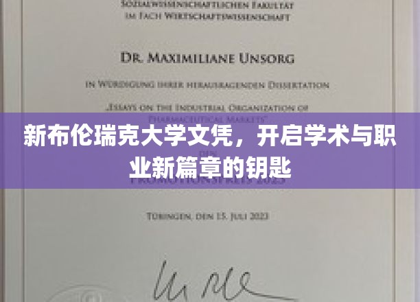 新布伦瑞克大学文凭，开启学术与职业新篇章的钥匙