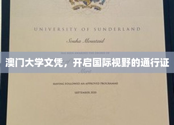 澳门大学学历，解锁全球机遇的钥匙