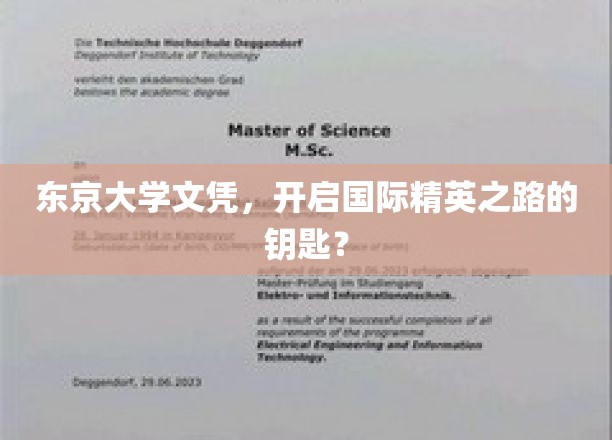 解码东京大学文凭，迈向全球精英行列的敲门砖