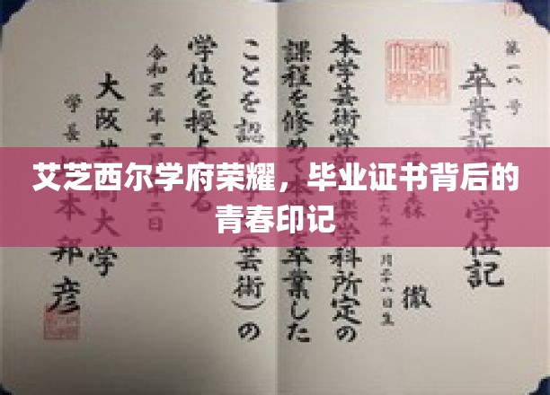 艾芝西尔学府荣耀，毕业证书背后的青春印记