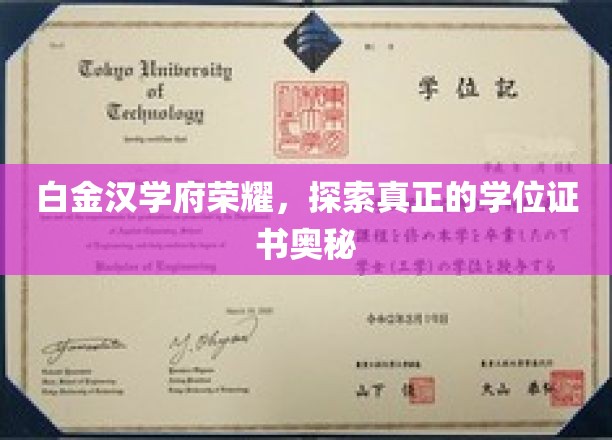 白金汉学府揭秘，学位证书背后的尊贵之谜