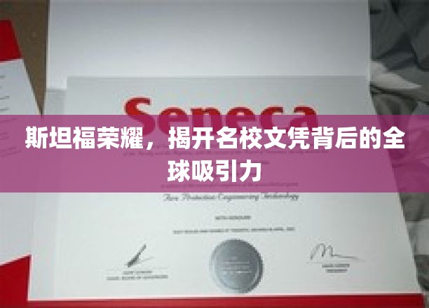 斯坦福荣耀，揭开名校文凭背后的全球吸引力