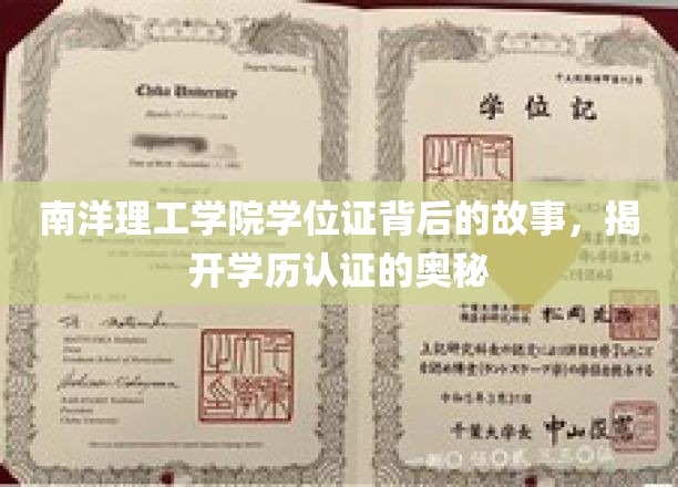 南洋理工学院学位证书背后的故事，揭开学历认证的奥秘