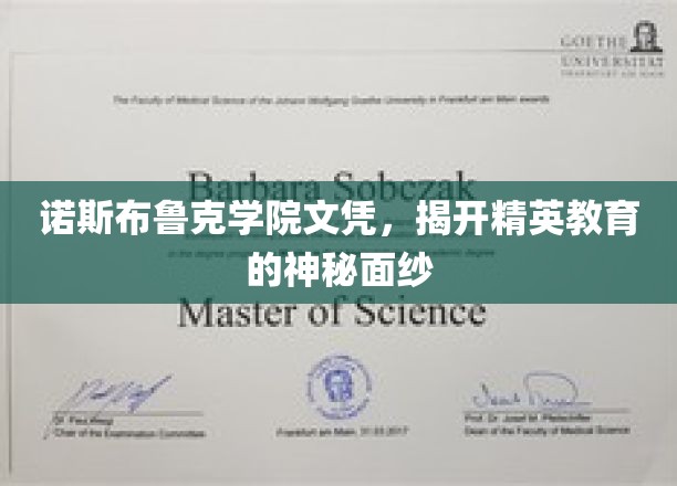 解码精英摇篮，诺斯布鲁克学院文凭背后的教育传奇