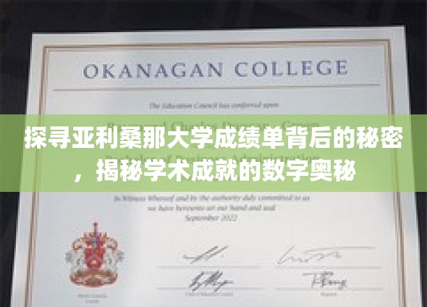 解码亚利桑那大学成绩单，解锁学术成就的数字密码