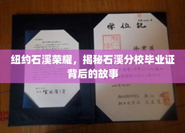 石溪之光，揭秘纽约石溪分校毕业证书的荣耀之谜