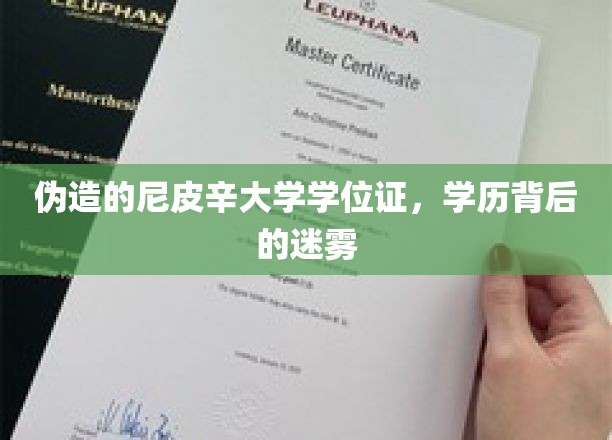 伪造的尼皮辛大学学位证，学历背后的迷雾