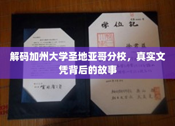 探寻加州大学圣地亚哥分校，文凭背后的非凡传奇