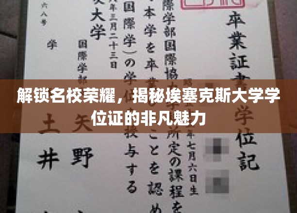 解锁名校荣耀，揭秘埃塞克斯大学学位证的非凡魅力