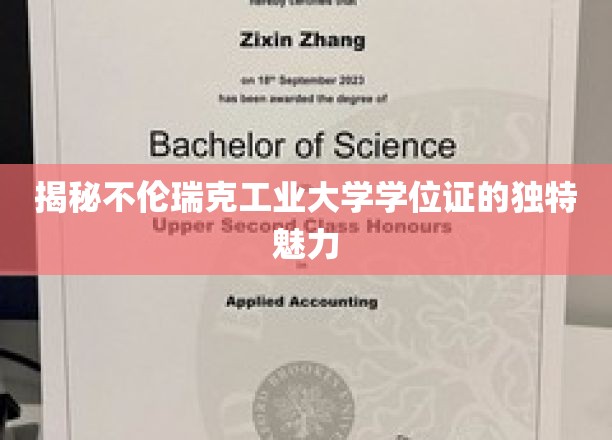 不伦瑞克工业大学学位证，揭开其独树一帜的荣耀面纱