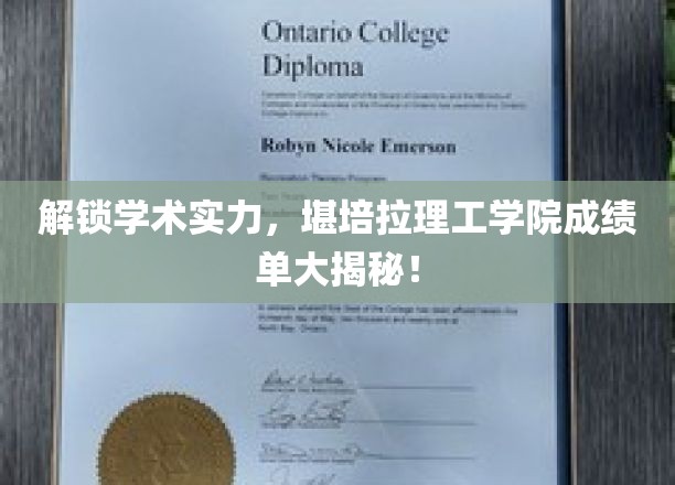 揭秘学术成就，堪培拉理工学院成绩单背后故事揭晓