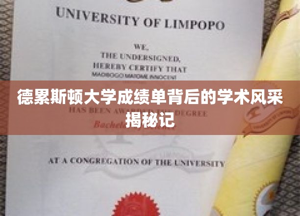 德累斯顿大学成绩单背后的学术风采揭秘记